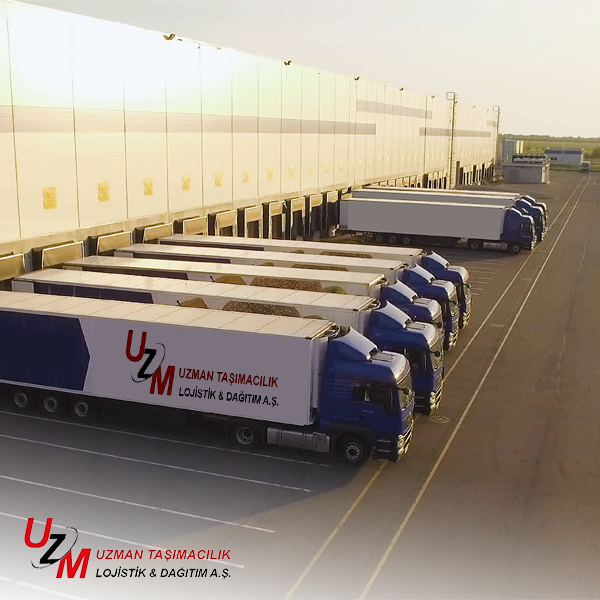 Komple Araç Tedariki